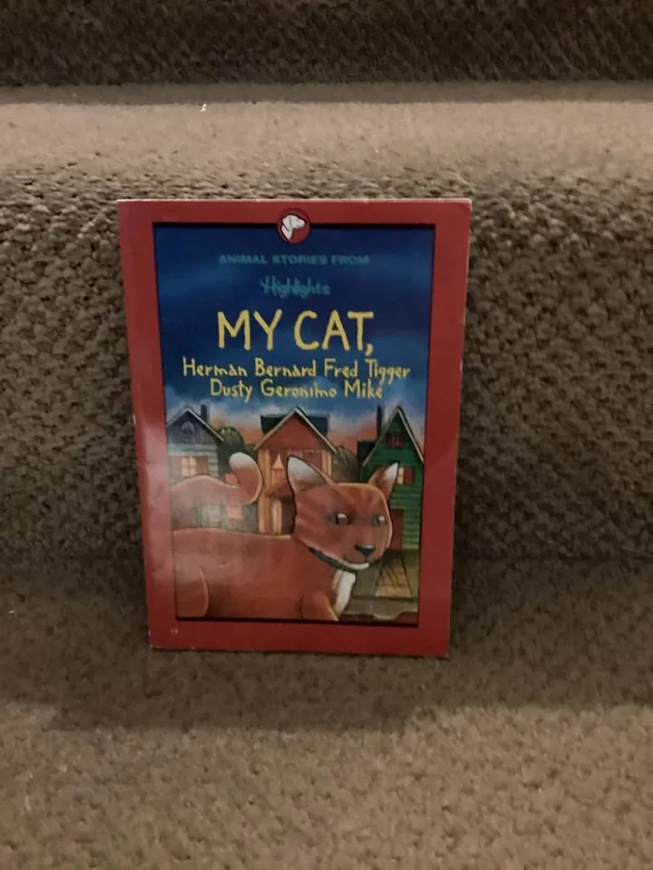 Chapter books image indicator(3)