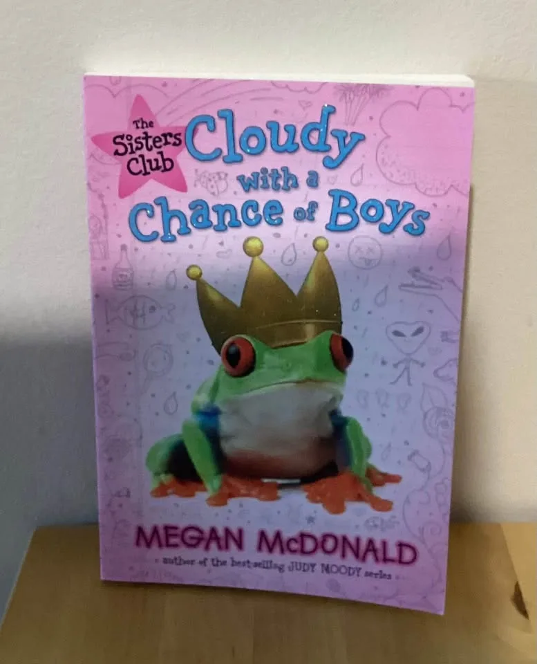 Chapter books image indicator(6)