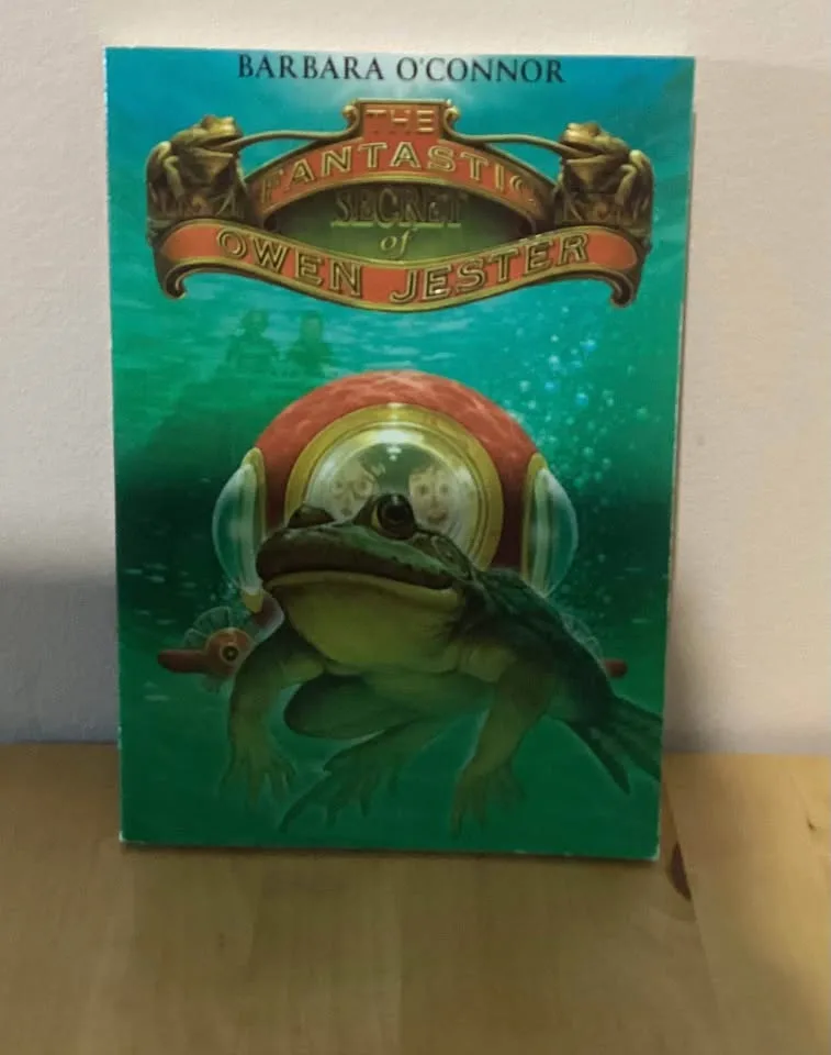 Chapter books image indicator(7)