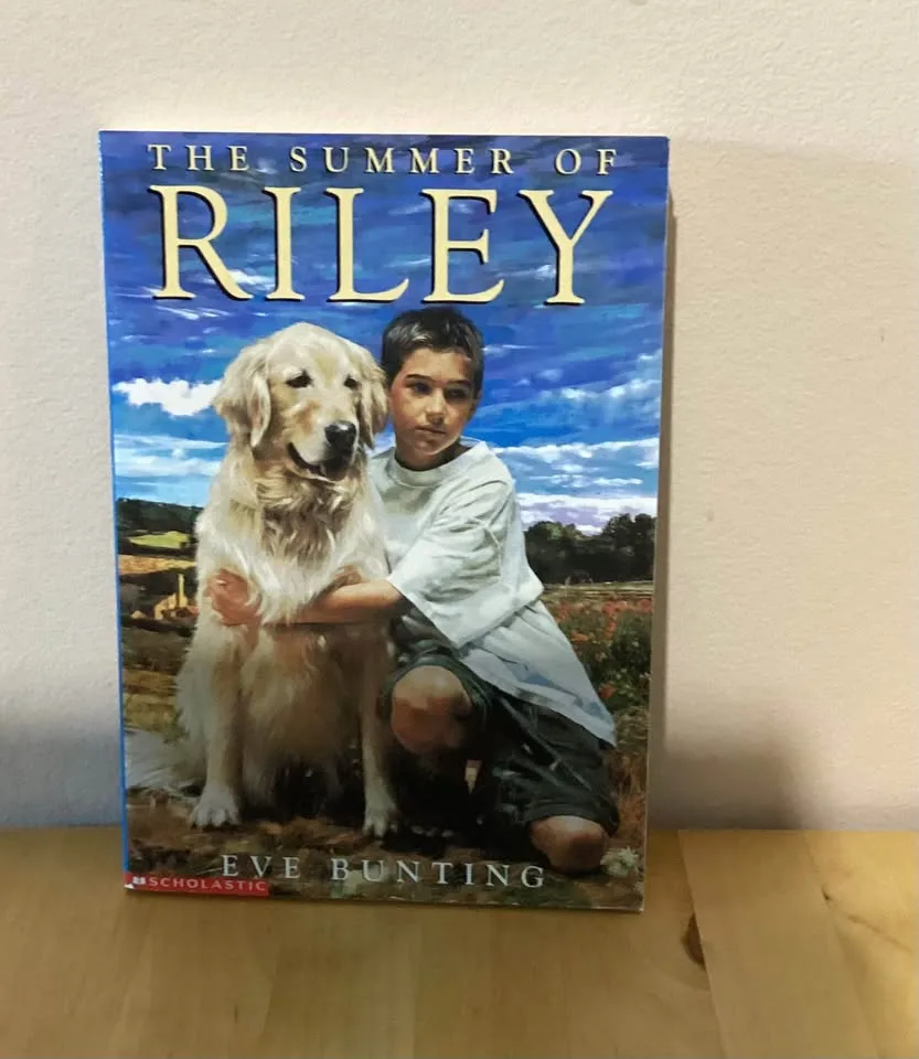 Chapter books image indicator(8)