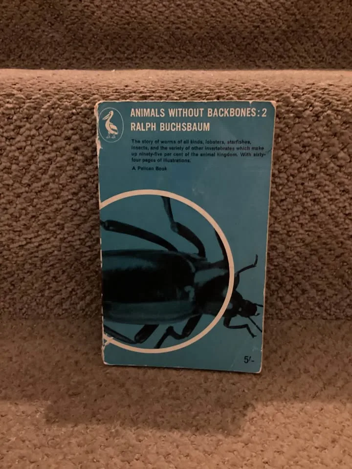 Educational books image indicator(5)