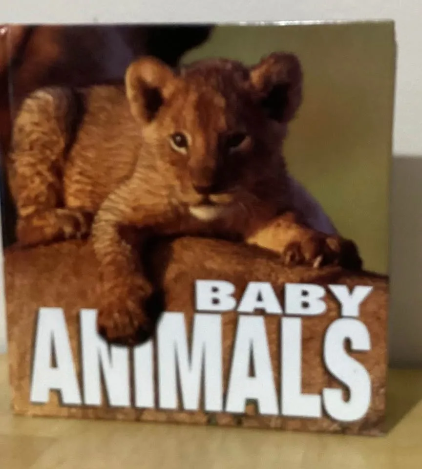 Education books image indicator(8)