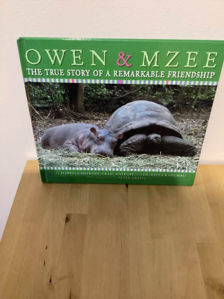 Educational books - photo 4