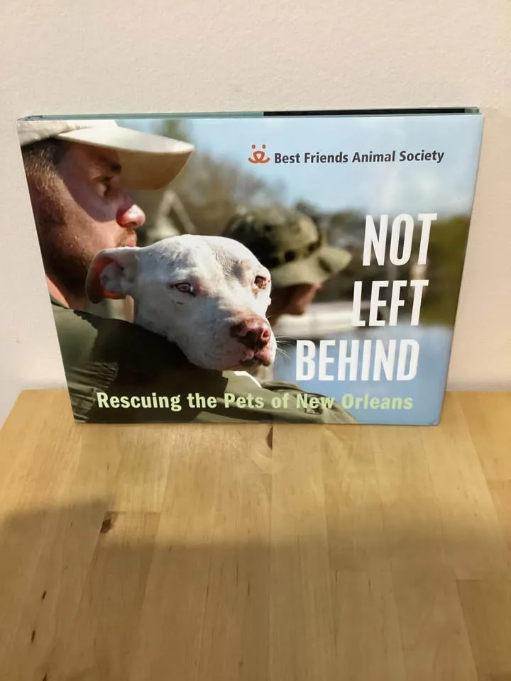 Educational books image indicator(8)