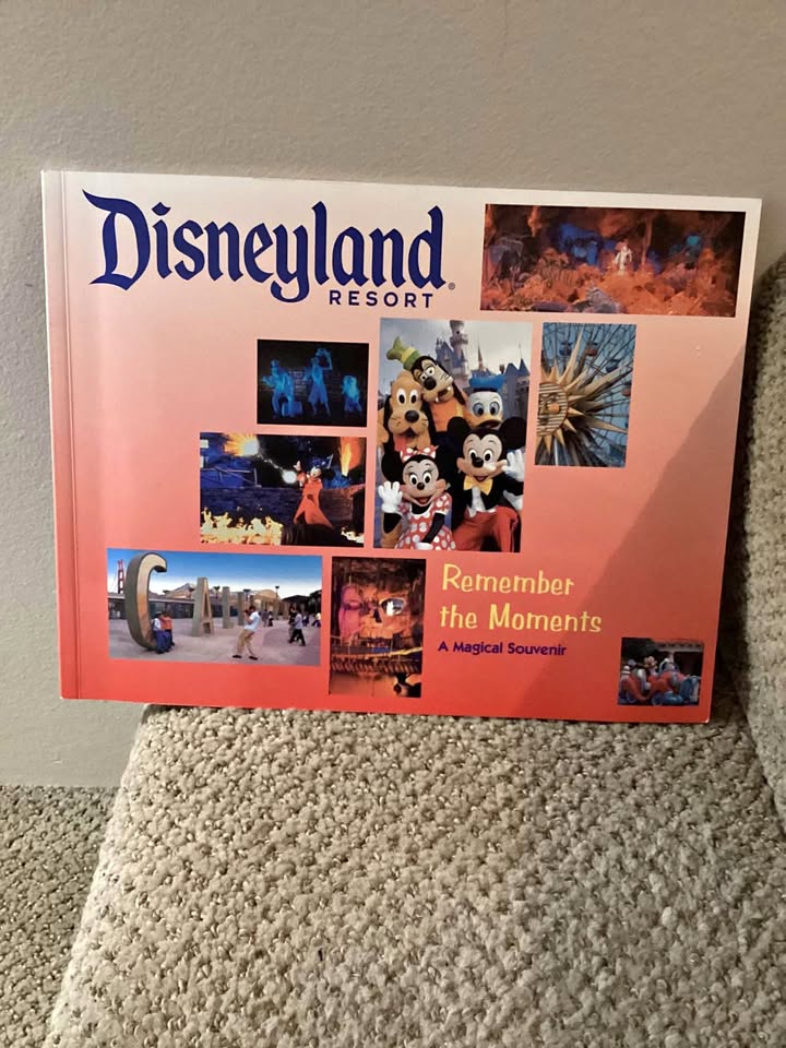Disneyland book