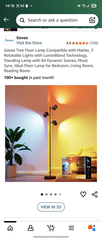 Floor Lamp