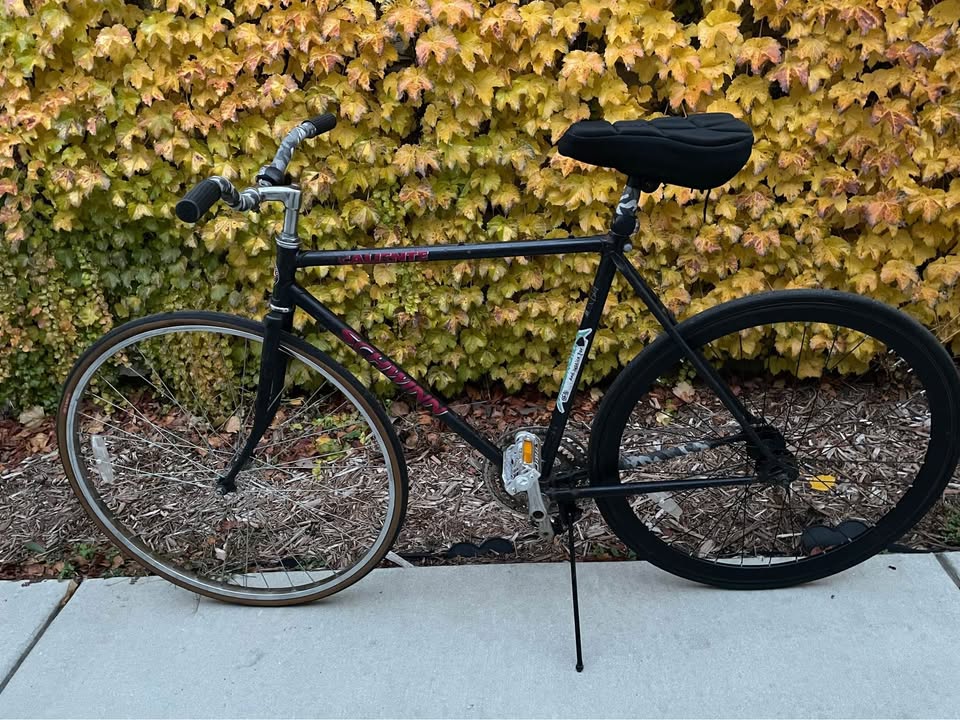 Schwinn Caliente Fixed Gear Bicycle - photo 2