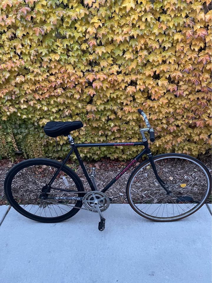 Schwinn Caliente Fixed Gear Bicycle - photo 3