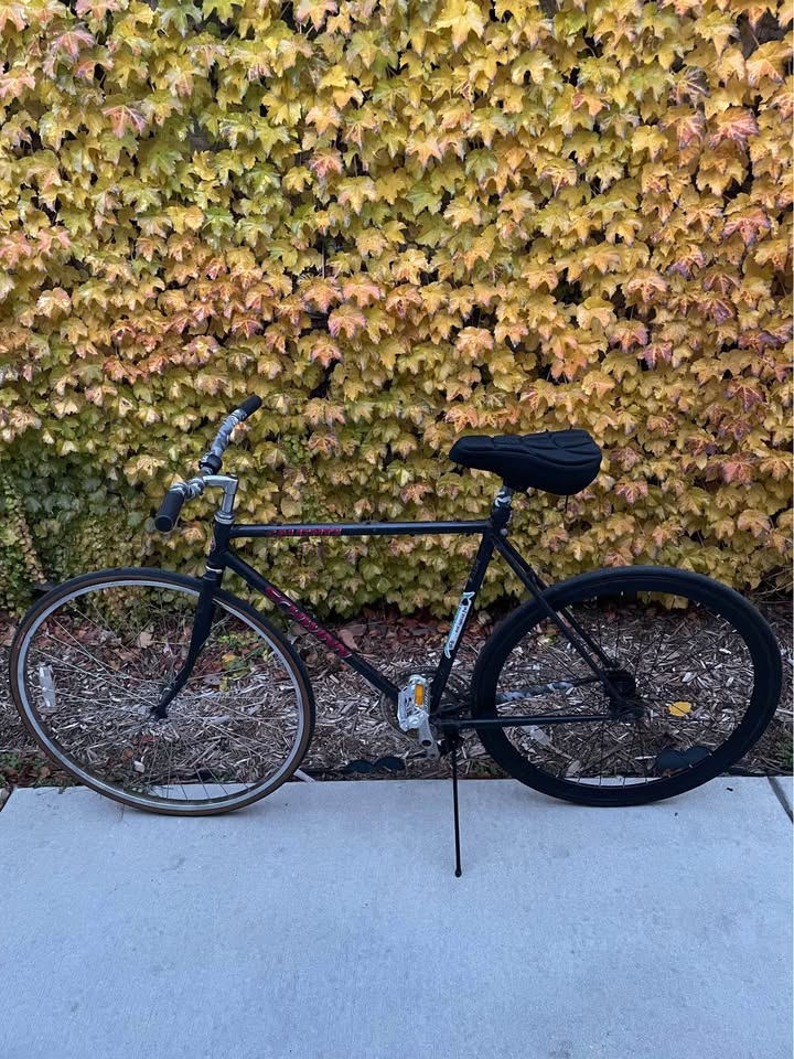 Schwinn Caliente Fixed Gear Bicycle - photo 4