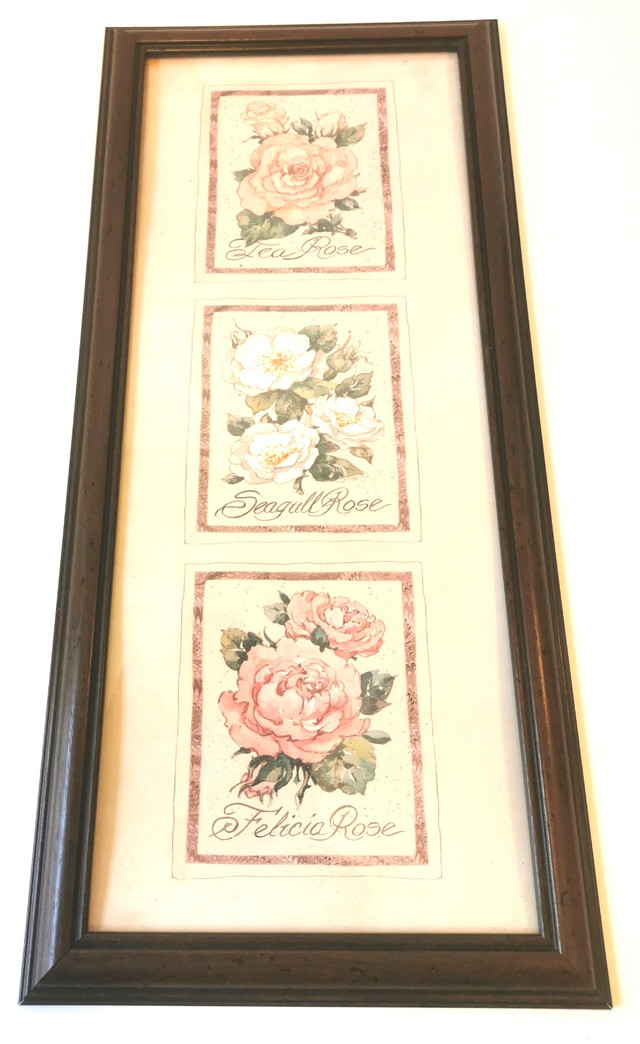 Three Roses Botanical Print Framed Vintage