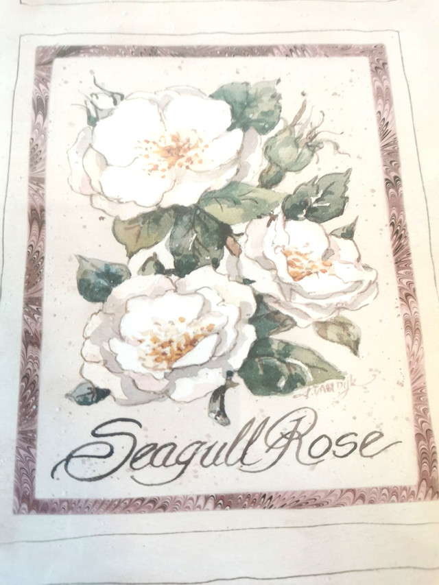 Three Roses Botanical Print Framed Vintage - photo 3