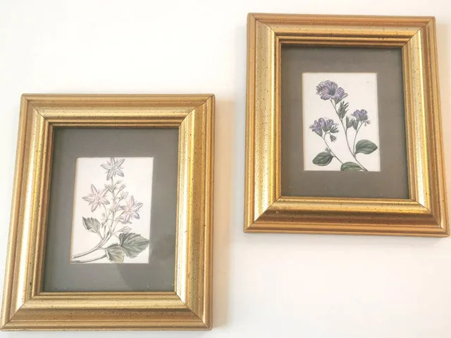 Vintage Botanical Flower Prints in Gold Frames Canada thumbnail