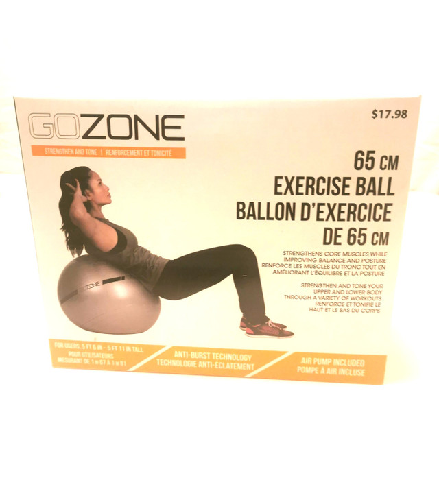 Exercise Ball GOZONE 65cm for people five foot 6 to five foot 11