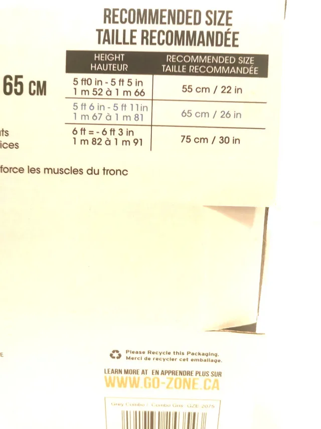 Exercise Ball GOZONE 65cm for people five foot 6 to five foot 11 image indicator(4)