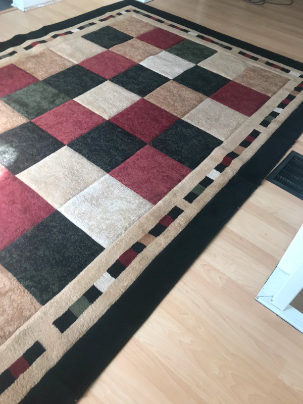 Milano Area Rug 6 feet 6 inches by 9 feet 6 inches lightly used