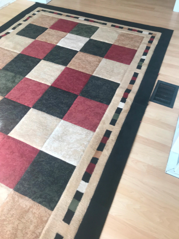 Milano Area Rug 6 feet 6 inches by 9 feet 6 inches lightly used - photo 3