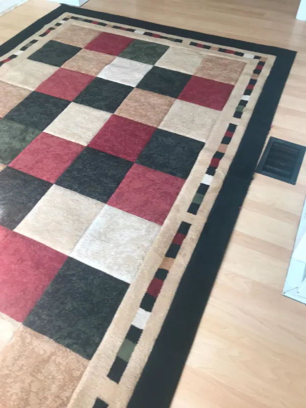 Milano Area Rug 6 feet 6 inches by 9 feet 6 inches lightly used image indicator(3)