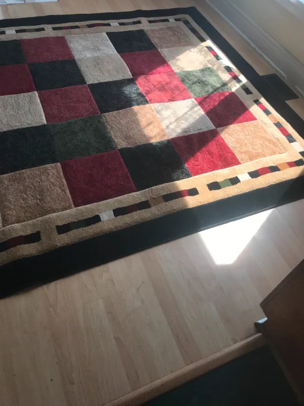 Milano Area Rug 6 feet 6 inches by 9 feet 6 inches lightly used image indicator(9)