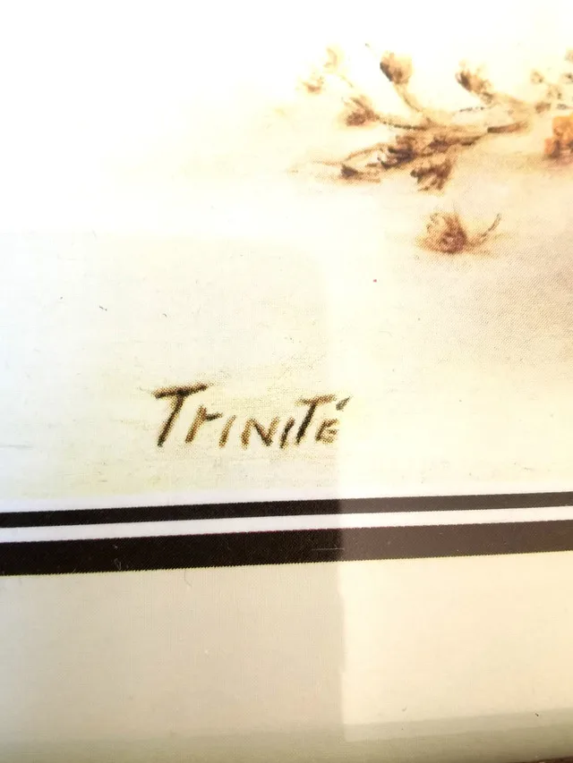Vintage Signed Trinité Framed Dried Floral Print Country Farmhou image indicator(8)