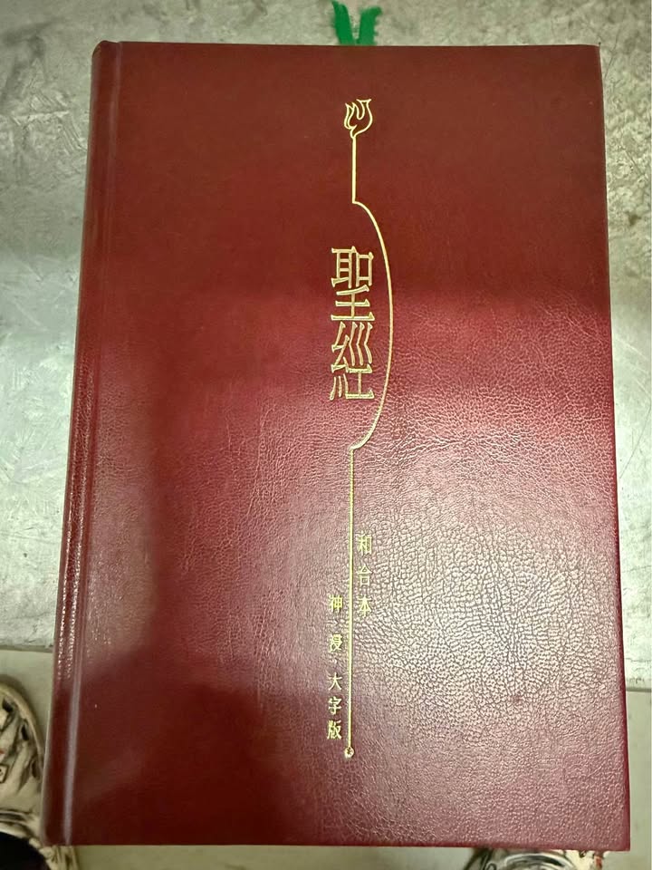 Chinese Union Version Bible