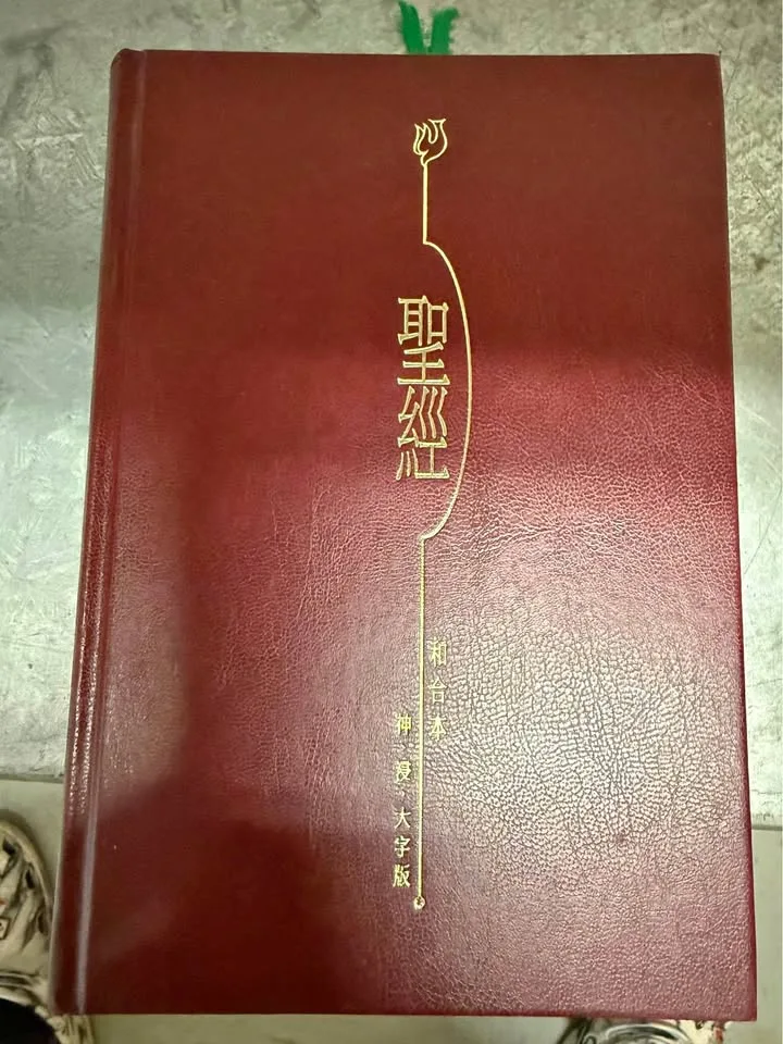 Chinese Union Version Bible thumbnail