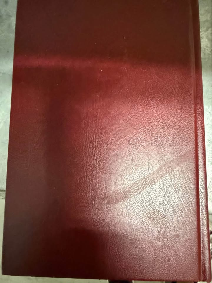 Chinese Union Version Bible - photo 3