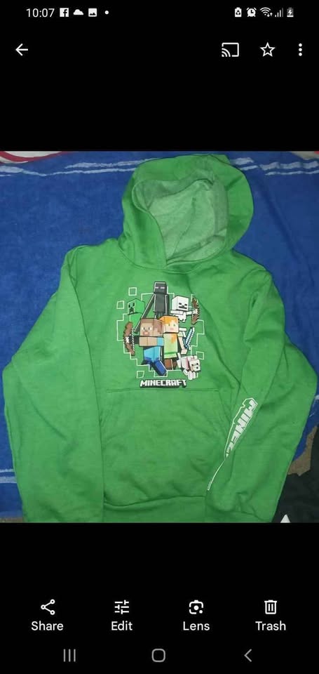 Minecraft hoodie