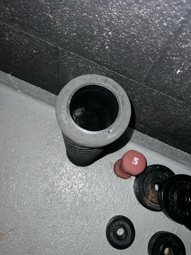 Home gym equipment- includes standard weight plates - photo 2