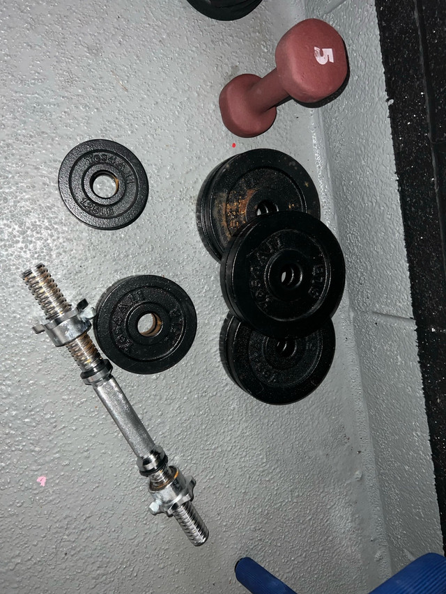 Home gym equipment- includes standard weight plates - photo 3