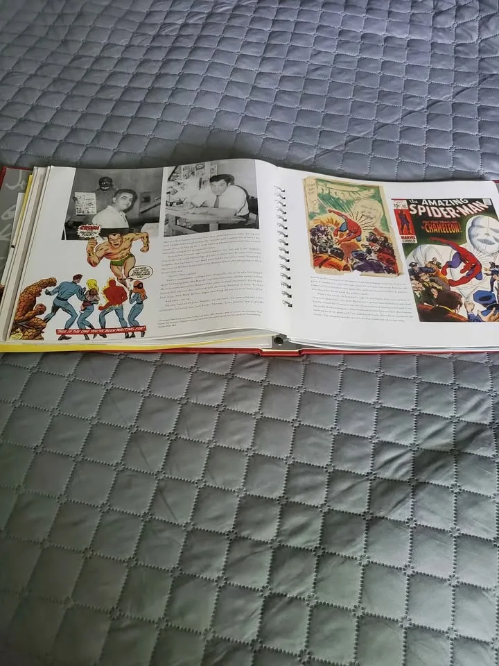 Marvel & Spiderman Vault Books image indicator(2)