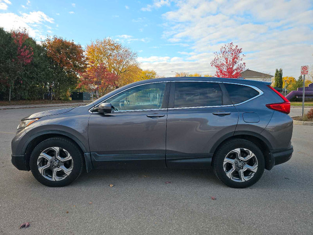 2019 Honda CR-V EX-L AWD *Excellent Condition* - photo 5