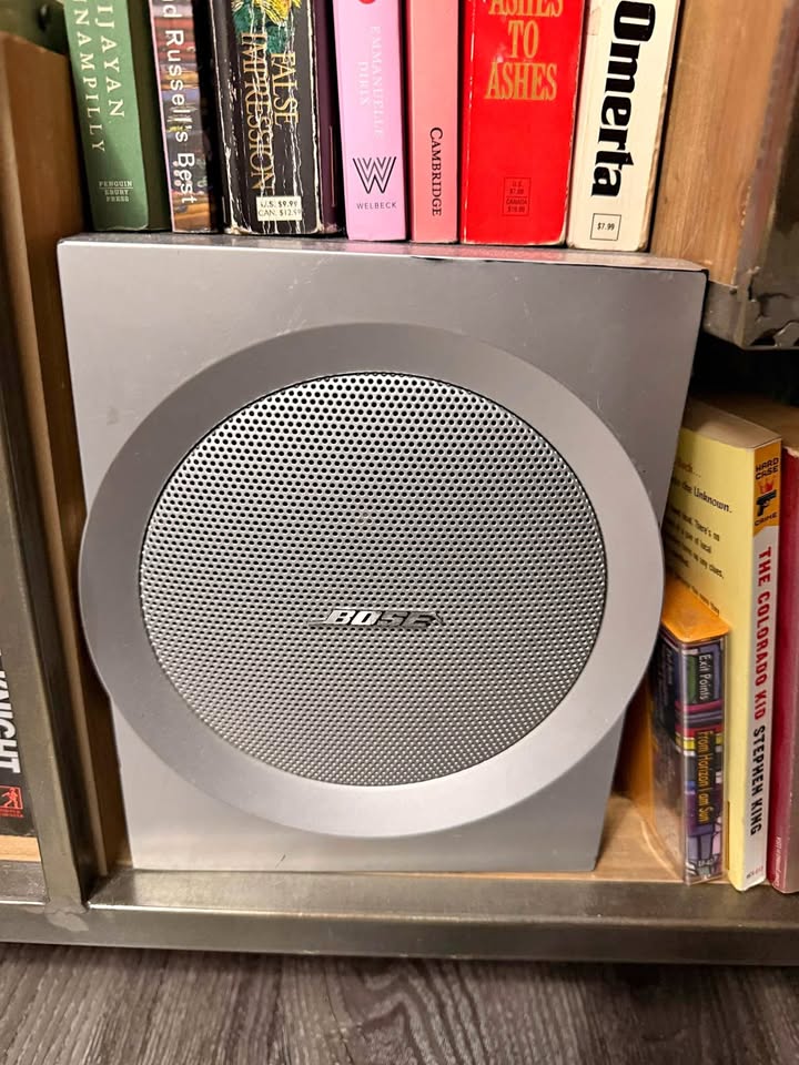 🎶 Bose Companion Speakers – Great Condition! 🎶