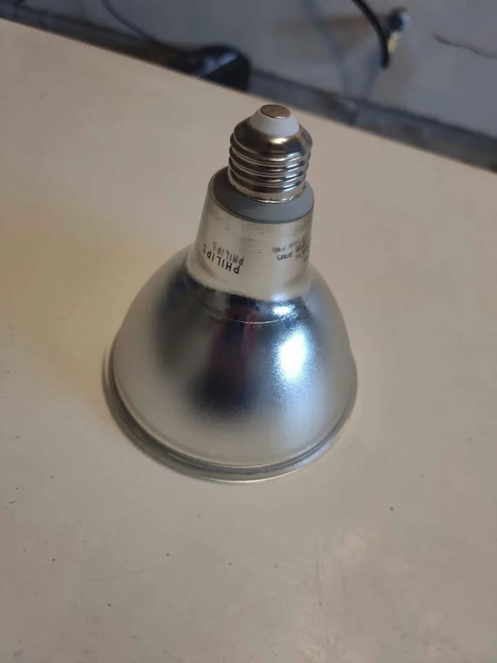 Philips Halogen Bulb