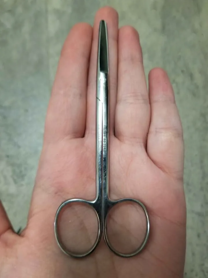 Vintage Stainless Steel Scissors image indicator(3)