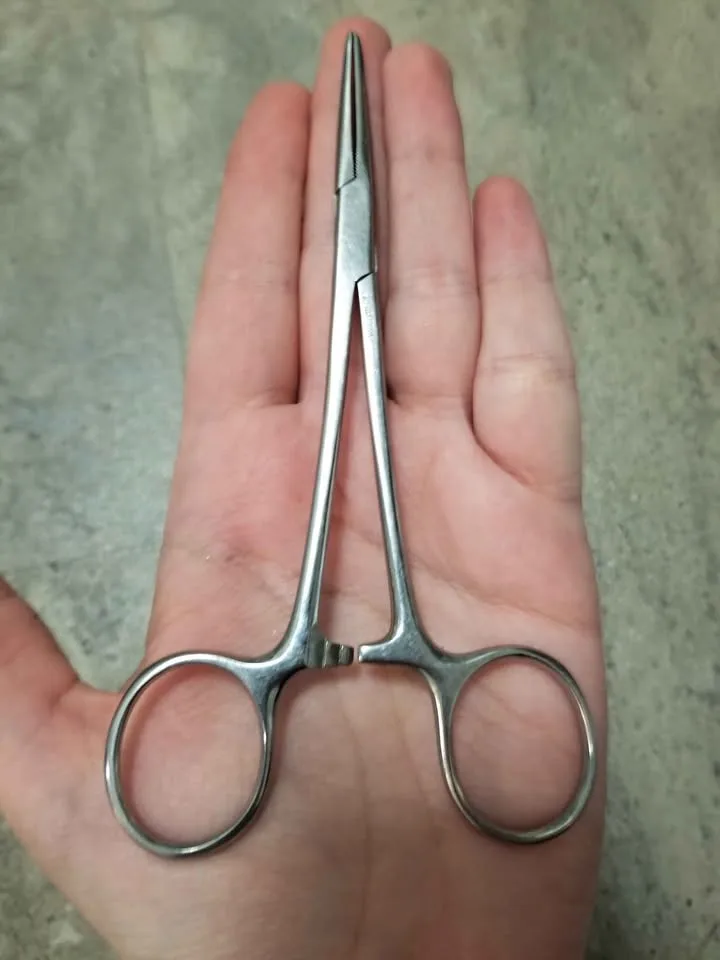 Vintage Stainless Steel Scissors image indicator(4)
