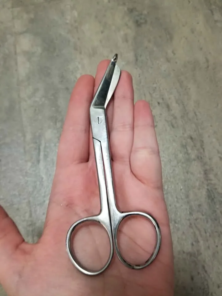 Vintage Stainless Steel Scissors image indicator(5)