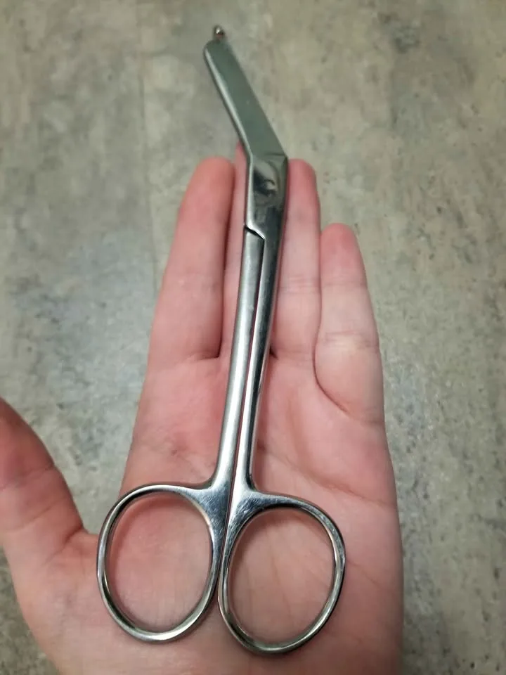 Vintage Stainless Steel Scissors image indicator(6)