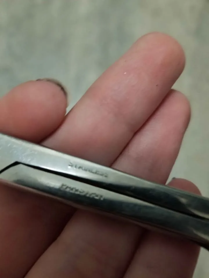 Vintage Stainless Steel Scissors image indicator(10)