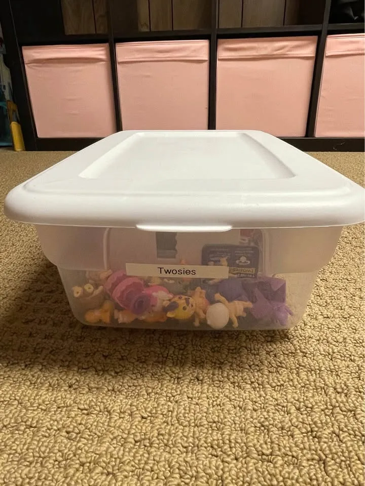 Twosies, animal friends and ice cream shop image indicator(5)