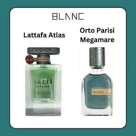 Lattafa ATLAS (Orto Parisi - Megamare)