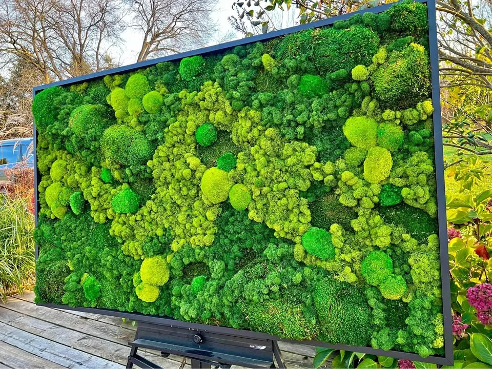 Custom preserved moss wall art thumbnail
