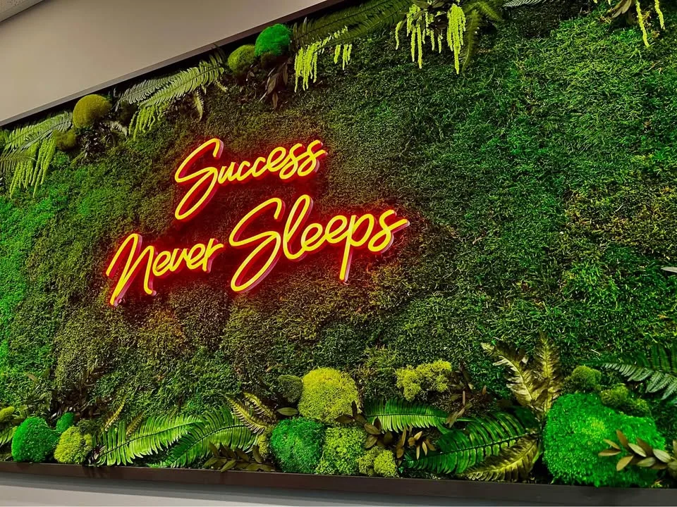 Preserved moss art image indicator(3)