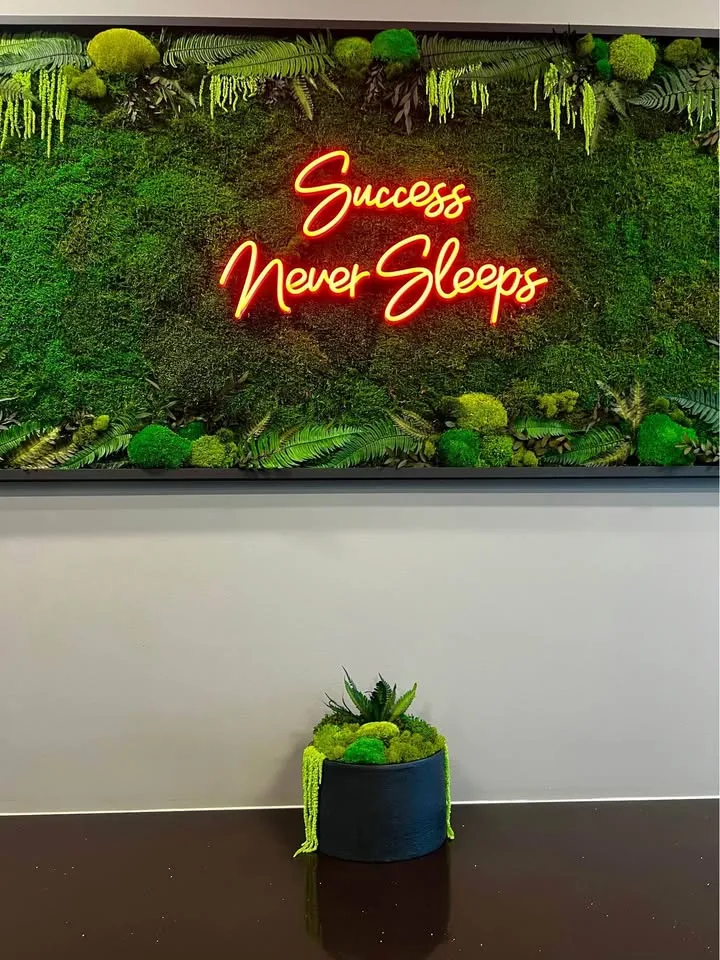 Preserved moss art image indicator(4)