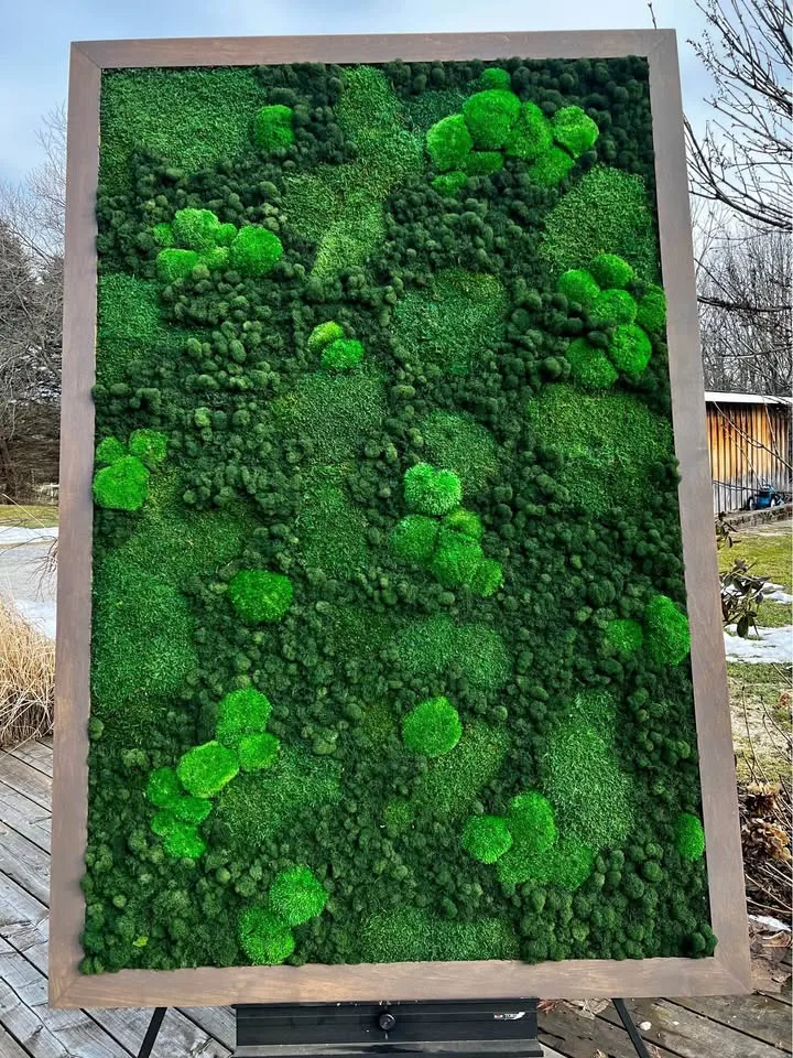 Preserved moss art thumbnail