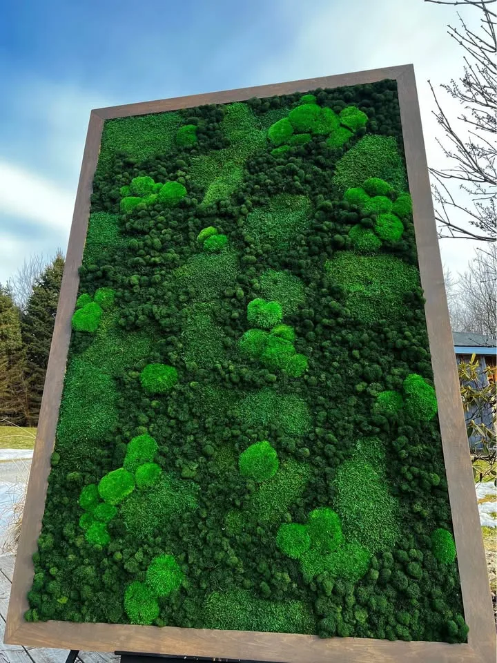 Preserved moss art image indicator(2)