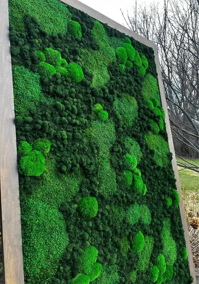 Preserved moss art image indicator(4)