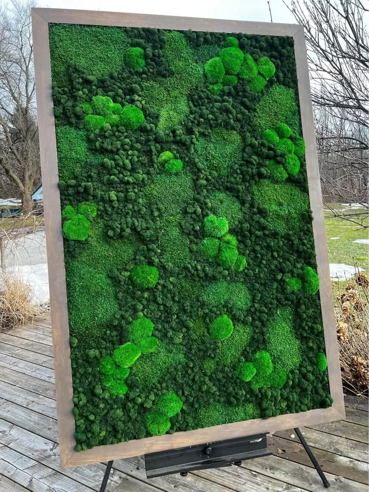 Preserved moss art image indicator(5)