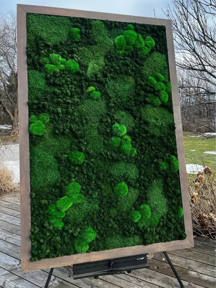 Preserved moss art image indicator(6)