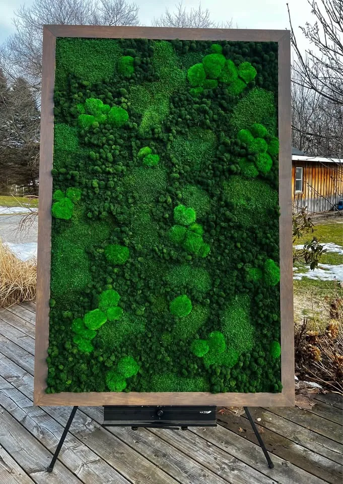 Preserved moss art image indicator(7)