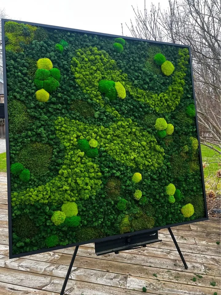 Preserved moss wall image indicator(2)